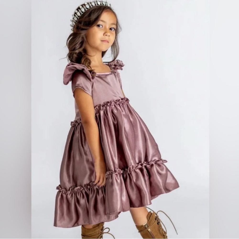NWT Joyfolie Mia Joy Rory Dress in Mauve size 5